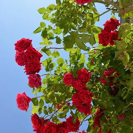 Le Mas De Rivet Hotel